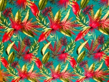 Tiger Lily